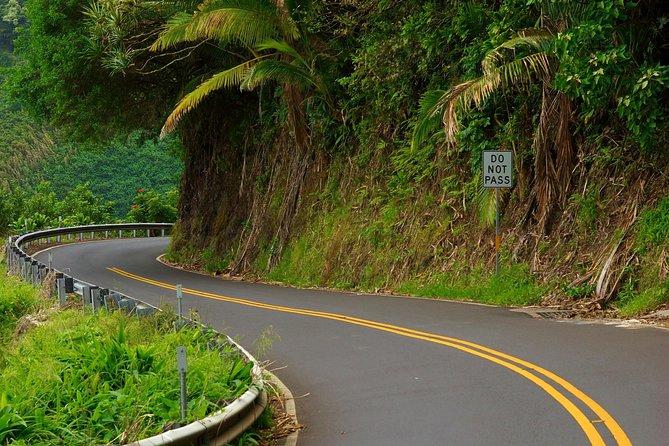 Road to Hana: Full-Day Scenic Drive with Blacksand & Waterfalls - Ho‘okipa Beach Park: turtles, wind sports, and where to ask for the stop