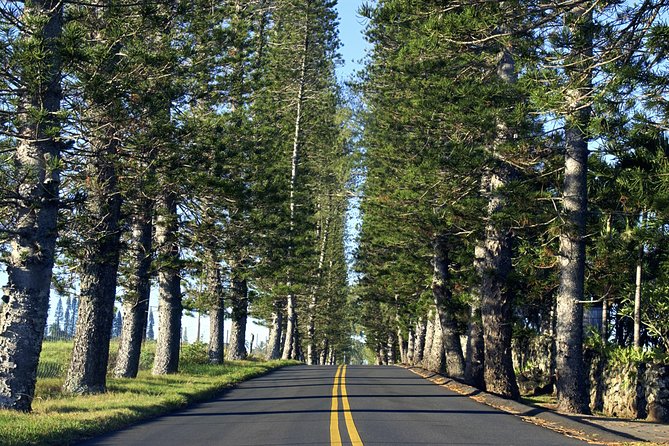 Road to Hana: Full-Day Scenic Drive with Blacksand & Waterfalls - The day’s real schedule: how long, how early, and what it feels like