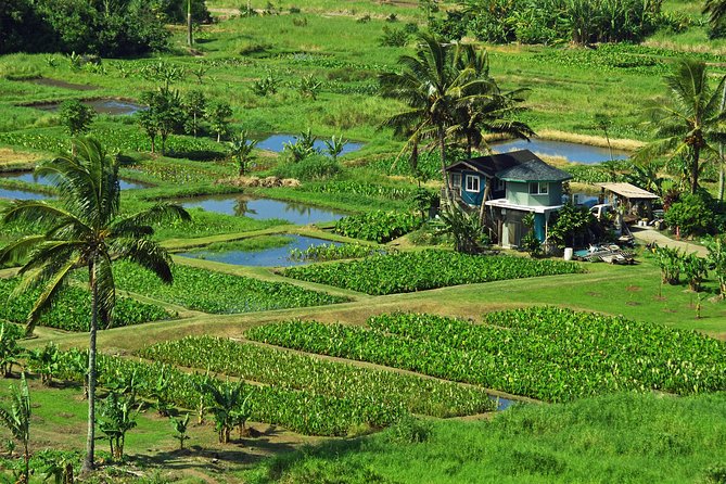 Road to Hana Tour with Lunch and Pickup - Lunch at a local flower farm: why this matters for value