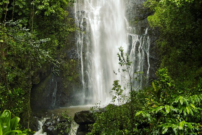 Road to Hana Tour with Lunch and Pickup - The driving plus the guide: culture and local tips that save time