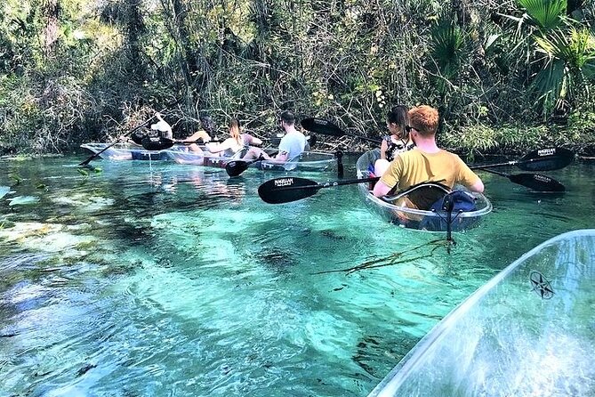 Rock Springs 2-Hour Glass Bottom Guided Kayak Eco Tour - Rock Springs Emerald Cut: why this kayak tour feels different