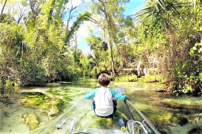 Rock Springs 2-Hour Glass Bottom Guided Kayak Eco Tour - Wildlife spotting: what you can reasonably expect to see