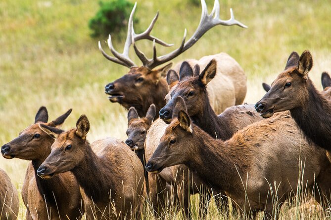 Rocky Mountain Escape - Key things to notice before you go