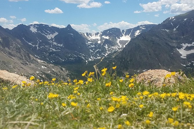 Rocky Mountain National Park in Summer Tour from Denver - Denver to Rocky Mountain National Park: why this road trip works