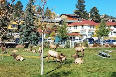 Rocky Mountain National Park in Summer Tour from Denver - Alluvial Fan and Horseshoe Park picnic: the warm-up stops