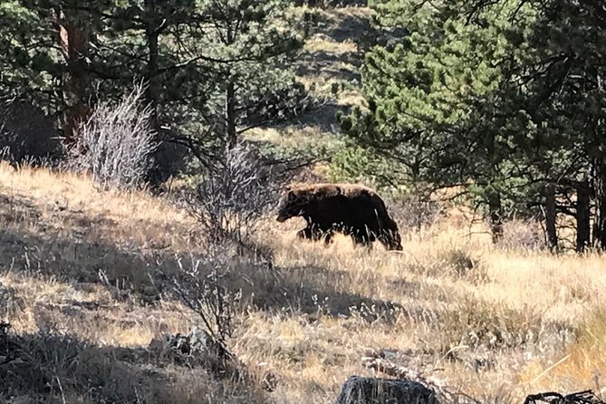 Rocky Mountain National Park in Summer Tour from Denver - Price and value: what you really get for $169