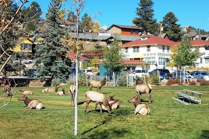 Rocky Mountain National Park in Summer Tour from Denver - Alluvial Fan and Horseshoe Park picnic: the warm-up stops