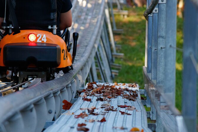 Rocky Top Mountain Coaster Admission Ticket in Pigeon Forge - Value in Pigeon Forge: why this ticket earns near-universal praise