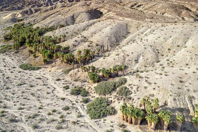 San Andreas Fault Jeep Tour from Palm Desert - Key highlights to clock before you go