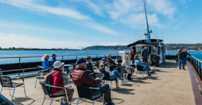 San Diego: Harbor Cruise - Your Route on San Diego Bay: Coronado Bridge, Naval Ships, Landmarks, Marine Life