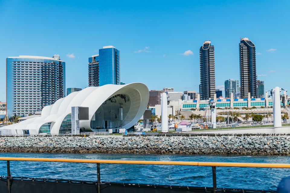 San Diego: Harbor Cruise - Wildlife on the Bay: Sea Lions, Seals, and Bird Moments