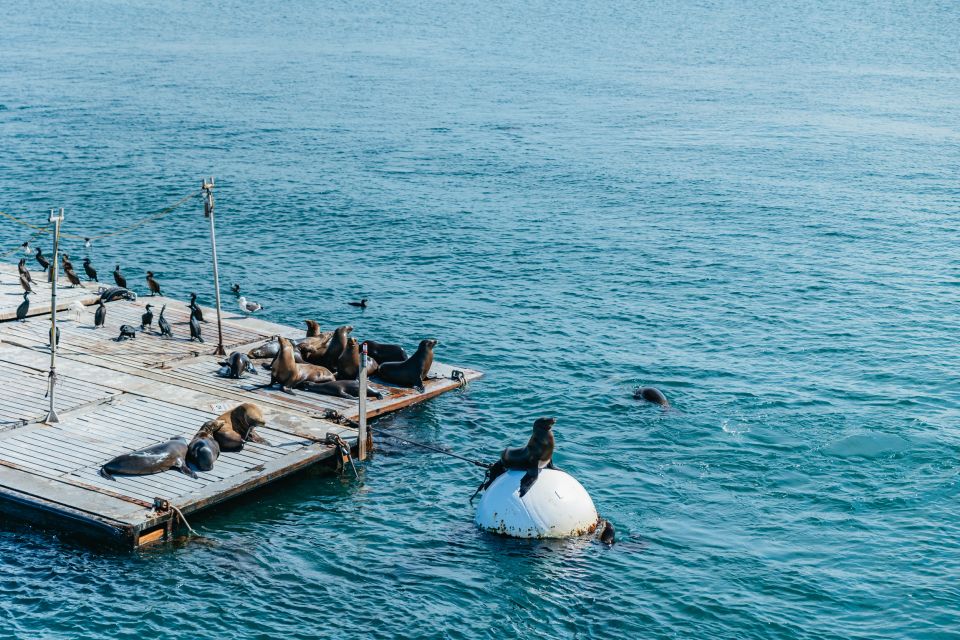 San Diego: Harbor Cruise - Who This Cruise Fits Best (And Who Might Want a Different Plan)