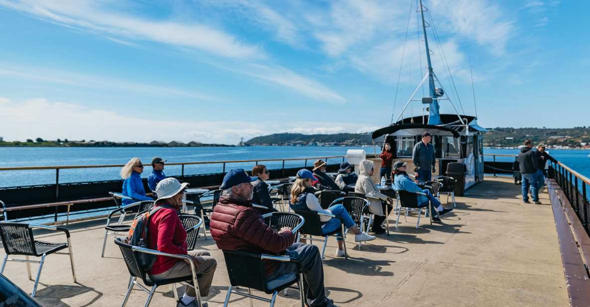 San Diego: Harbor Cruise - Your Route on San Diego Bay: Coronado Bridge, Naval Ships, Landmarks, Marine Life