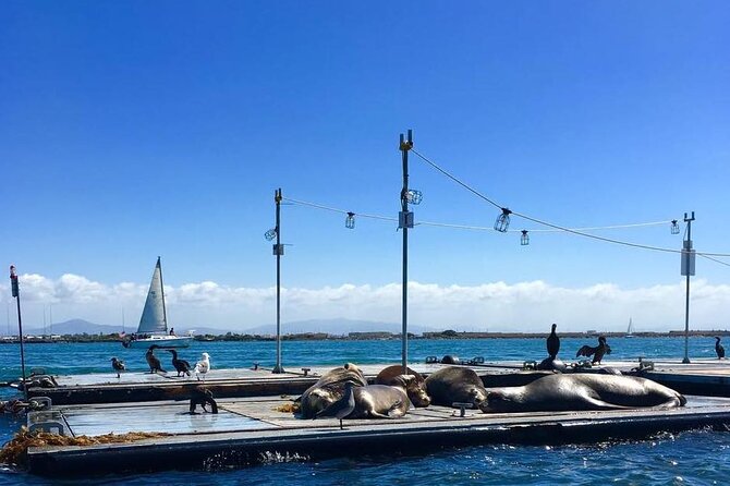 San Diego Harbor Speed Boat Adventure - Price and value: $75.65 for a hands-on harbor view