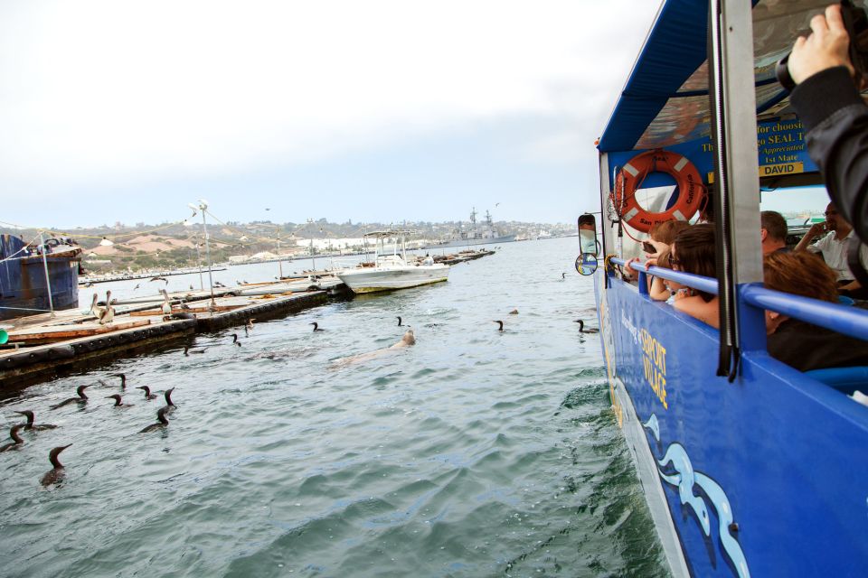San Diego: SEAL City Tour by Amphibious Bus - Wildlife on the bay: seals, sea lions, birds, and dolphins
