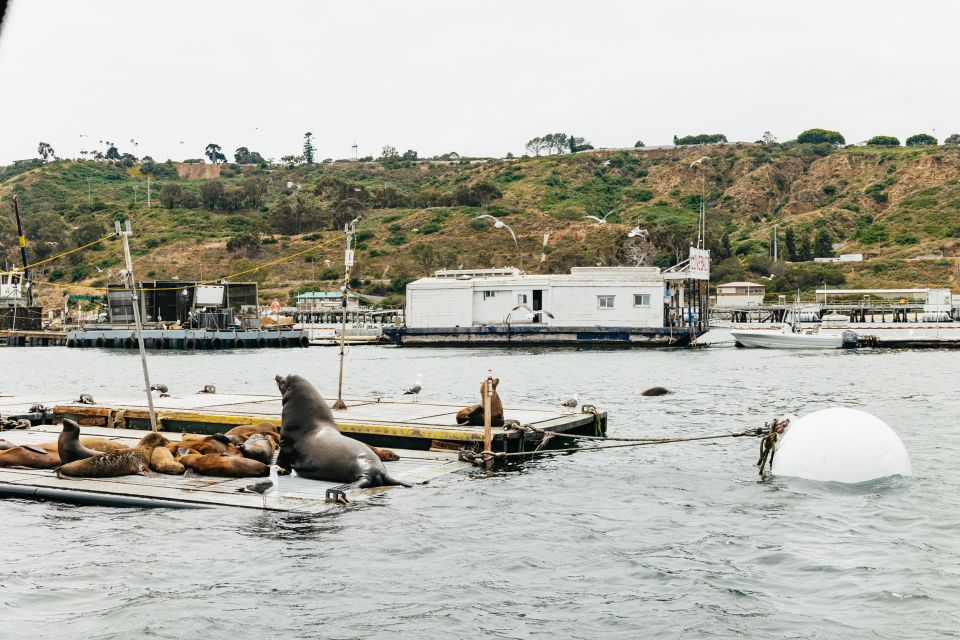 San Diego: SEAL City Tour by Amphibious Bus - Price and value: does $55 make sense for 100 minutes?