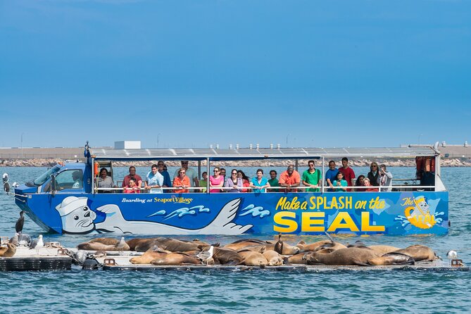 San Diego Seal Tour - The land portion on Harbor Drive: getting oriented fast