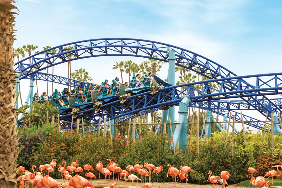 San Diego: SeaWorld Skip-the-Line Park Admission Ticket - Ticket Basics: What Skip-the-Line Really Covers