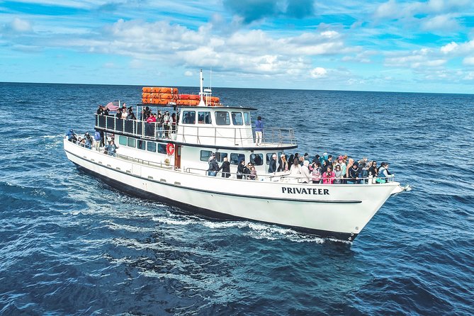 San Diego Whale Watching & Dolphin Cruise - Binoculars, boarding upgrades, and what helps your chances