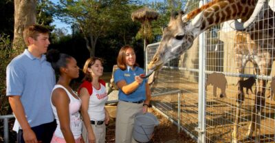 San Diego Zoo: 1-Day Admission Ticket - Where to Meet: Jump In at the Zoo Entrance