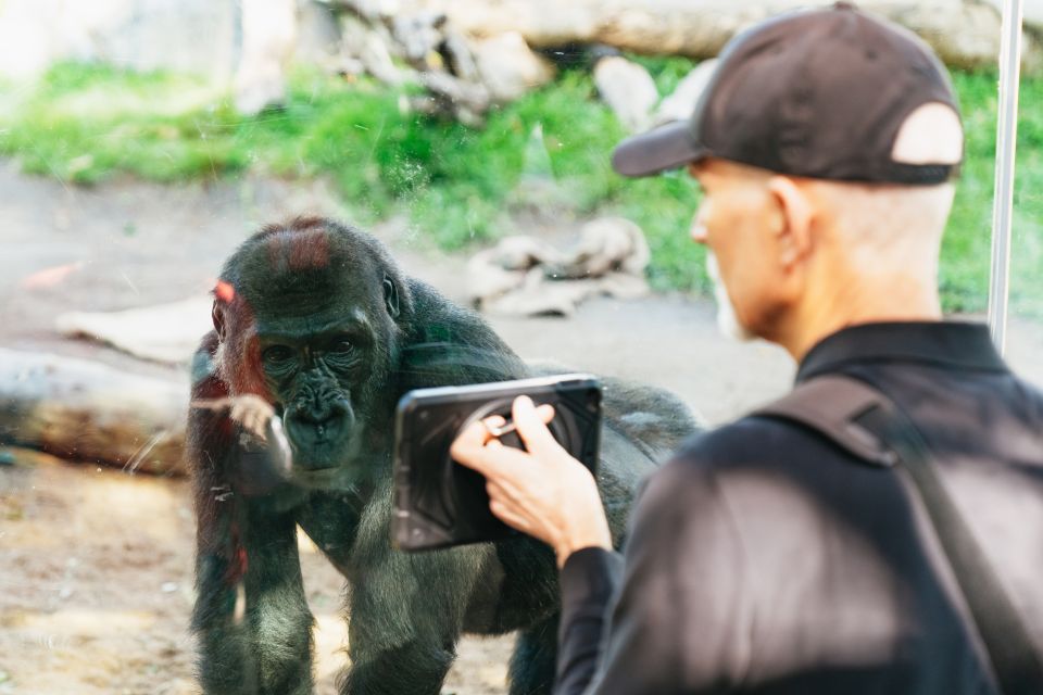 San Diego Zoo: 1-Day Admission Ticket - Discovery Outpost: Galápagos Tortoises You Can Actually Touch