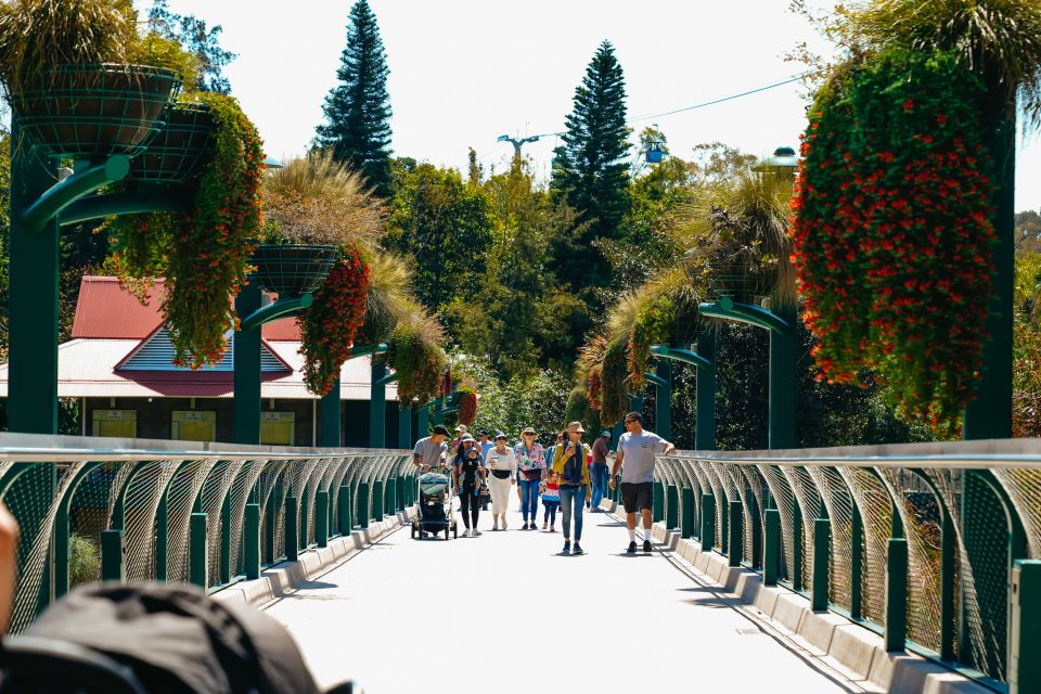 San Diego Zoo: 1-Day Admission Ticket - Africa Rocks and the Sea Lion Show: Big-Range Favorites