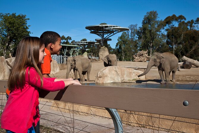 San Diego Zoo 1-Day Pass: Any Day Ticket - Unlimited rides: using Skyfari and the Guided Bus Tour like a pro