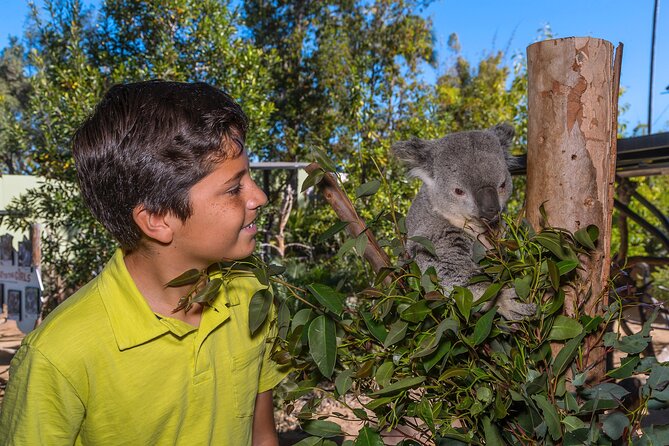 San Diego Zoo 1-Day Pass: Any Day Ticket - Africa Rocks and the zoo’s animal-and-botany feel