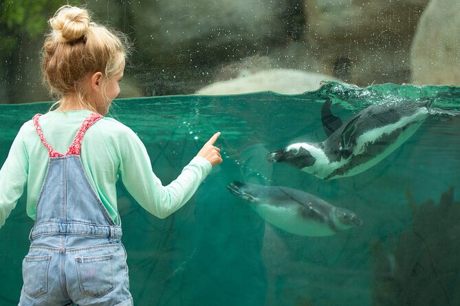 San Diego Zoo 1-Day Pass: Any Day Ticket - Kids and play zones: Petting Paddock and easy downtime