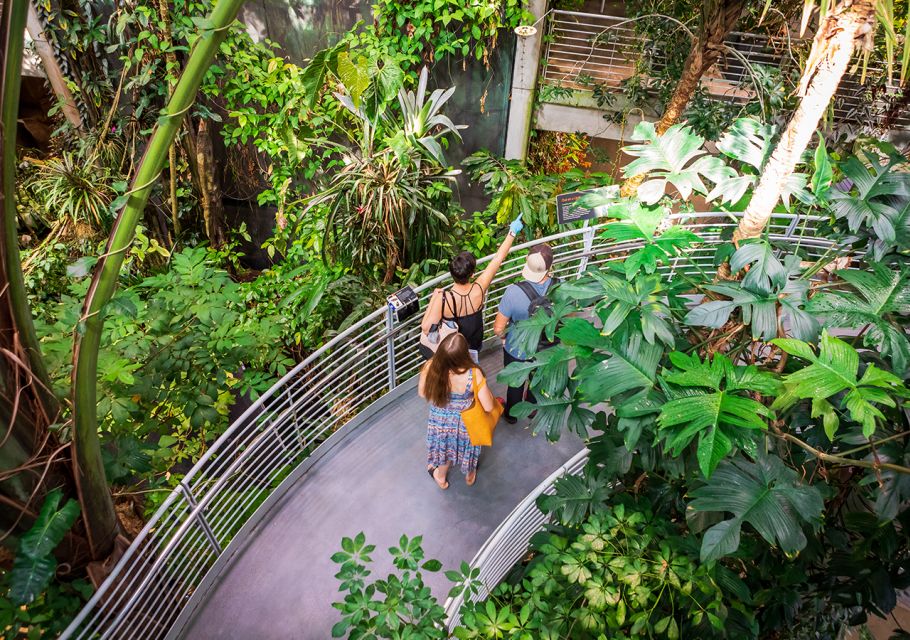 San Francisco: California Academy of Sciences Entry Ticket - Tiny Chef, Big Impact: A New Planetarium Film Worth Your Attention