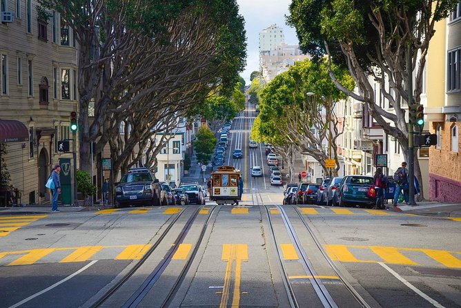 San Francisco Grand City Tour - Golden Gate Park: Windmills, Animals, and Summer of Love Clues