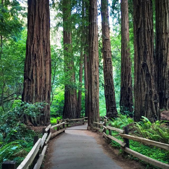 San Francisco: Hop-On Hop-Off Open-top Sightseeing Tour - Optional add-ons: how to tailor your day without losing control