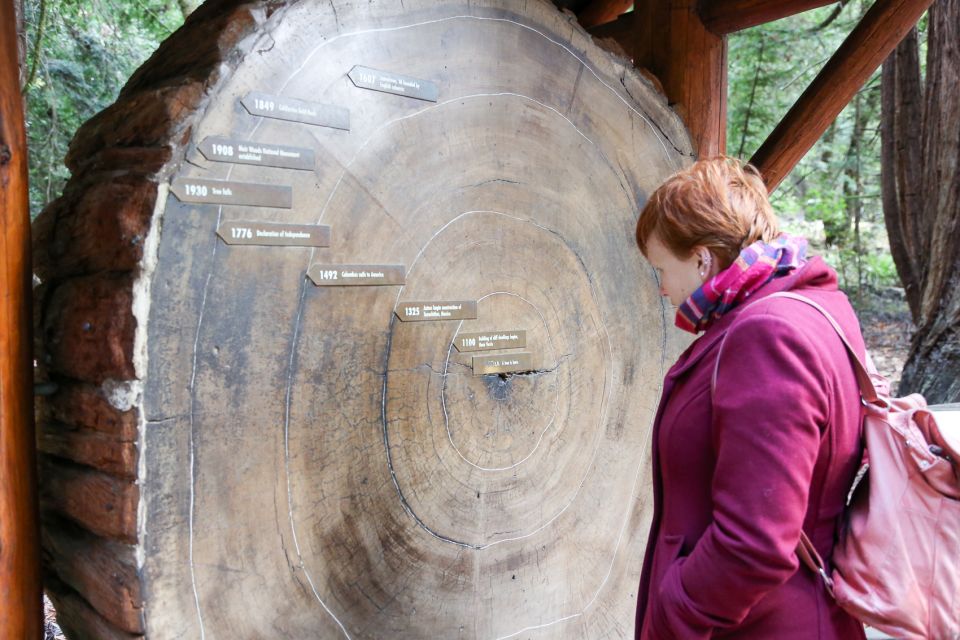 San Francisco: Muir Woods and Sausalito Half-Day Trip - What to Pack So the Day Feels Easy