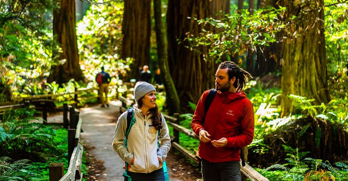 San Francisco: Muir Woods and Sausalito Half-Day Trip - Early Access to Muir Woods: Go First, Breathe Easier