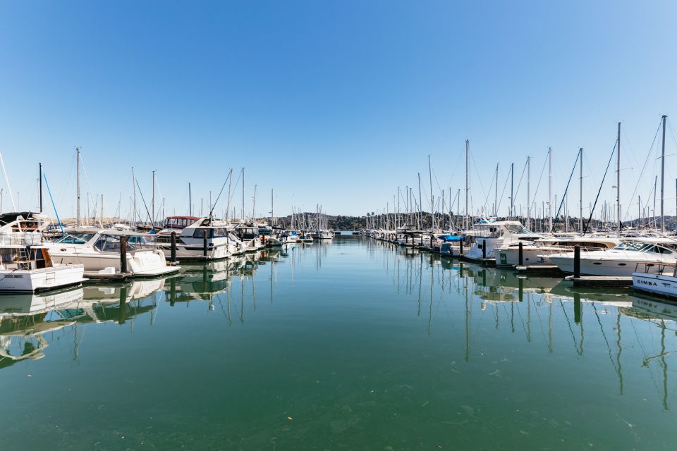 San Francisco: Muir Woods and Sausalito Small-Group Tour - Key tour takeaways