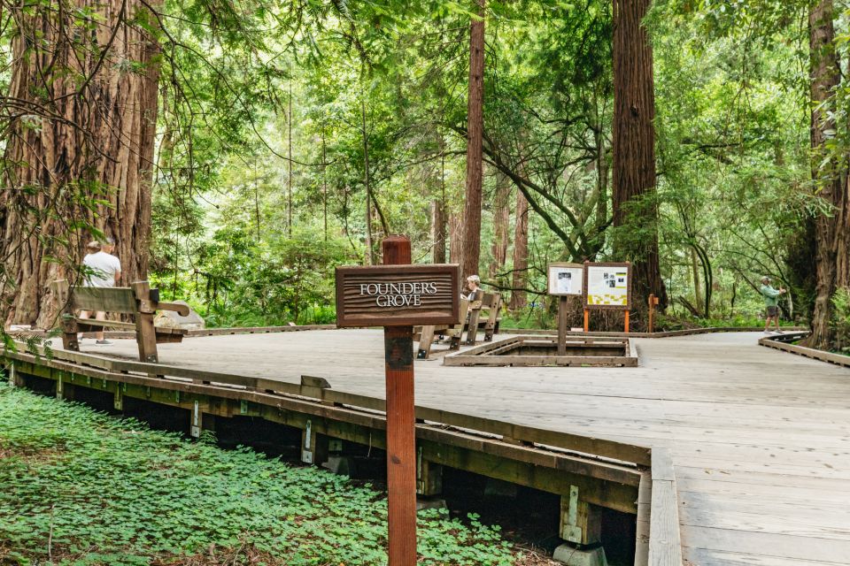 San Francisco: Muir Woods and Sausalito Small-Group Tour - Price and value: is $99 a fair deal?