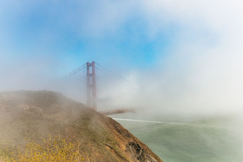 San Francisco: Muir Woods and Sausalito Small-Group Tour - Sausalito in one hour: art, cafes, and that waterfront feeling