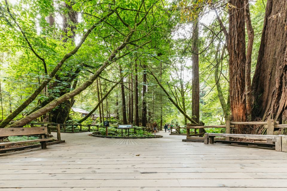 San Francisco: Muir Woods and Sausalito Small-Group Tour - Pickup and the van experience: what to expect early
