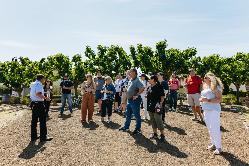 San Francisco: Muir Woods, Napa & Sonoma Valley Wine Tour - Muir Woods National Monument: how 75 minutes feels in real life