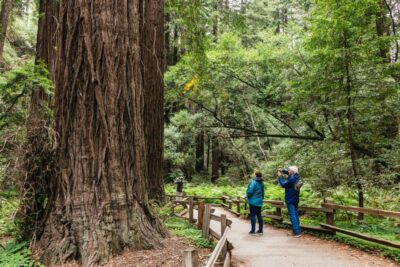 San Francisco: Muir Woods, Napa & Sonoma Valley Wine Tour - From your hotel to the Golden Gate: the morning ride
