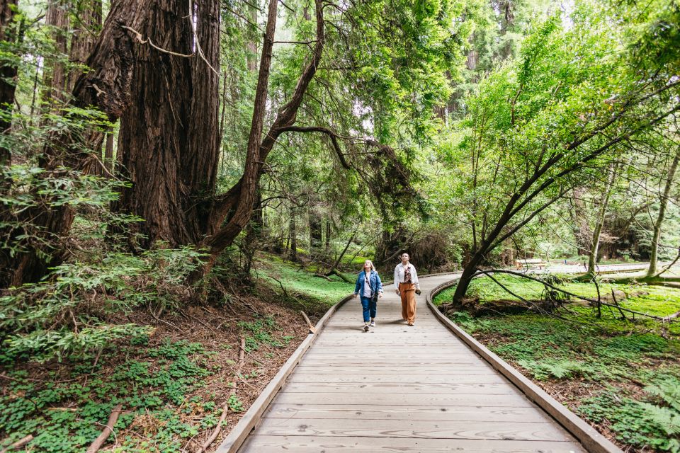 San Francisco: Muir Woods, Napa & Sonoma Valley Wine Tour - Napa and Sonoma wineries on a single loop: Ru Vango and Jacuzzi