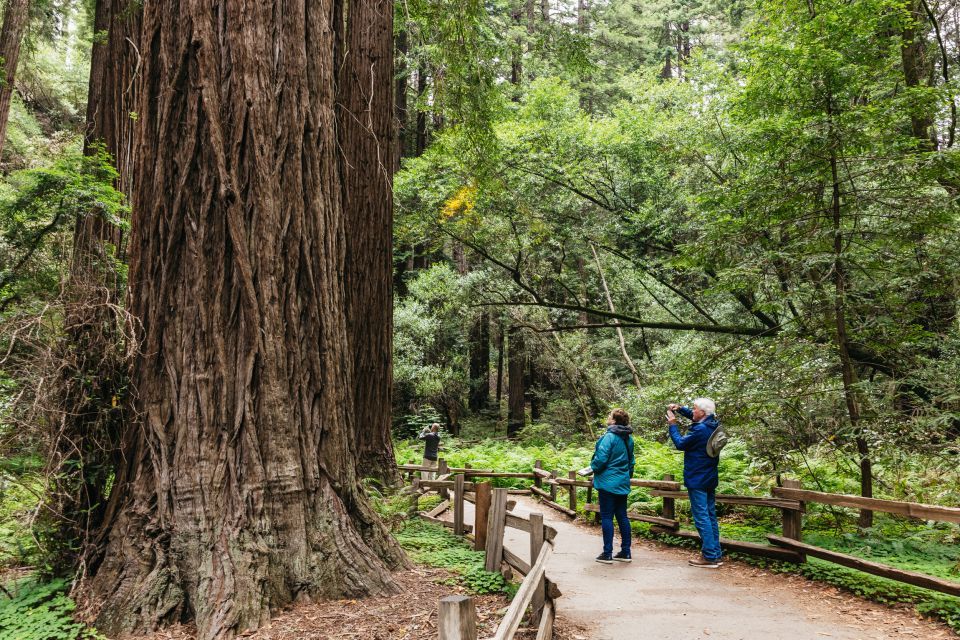 San Francisco: Muir Woods, Napa & Sonoma Valley Wine Tour - From your hotel to the Golden Gate: the morning ride