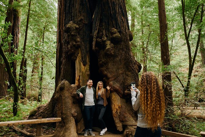 San Francisco, Muir Woods, Sausalito and optional Alcatraz tour - Comfort, timing, and guide quality (the part that makes or breaks it)