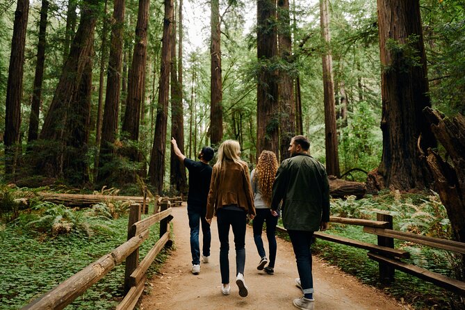 San Francisco, Muir Woods, Sausalito and optional Alcatraz tour - Who this tour suits best (and who should think twice)