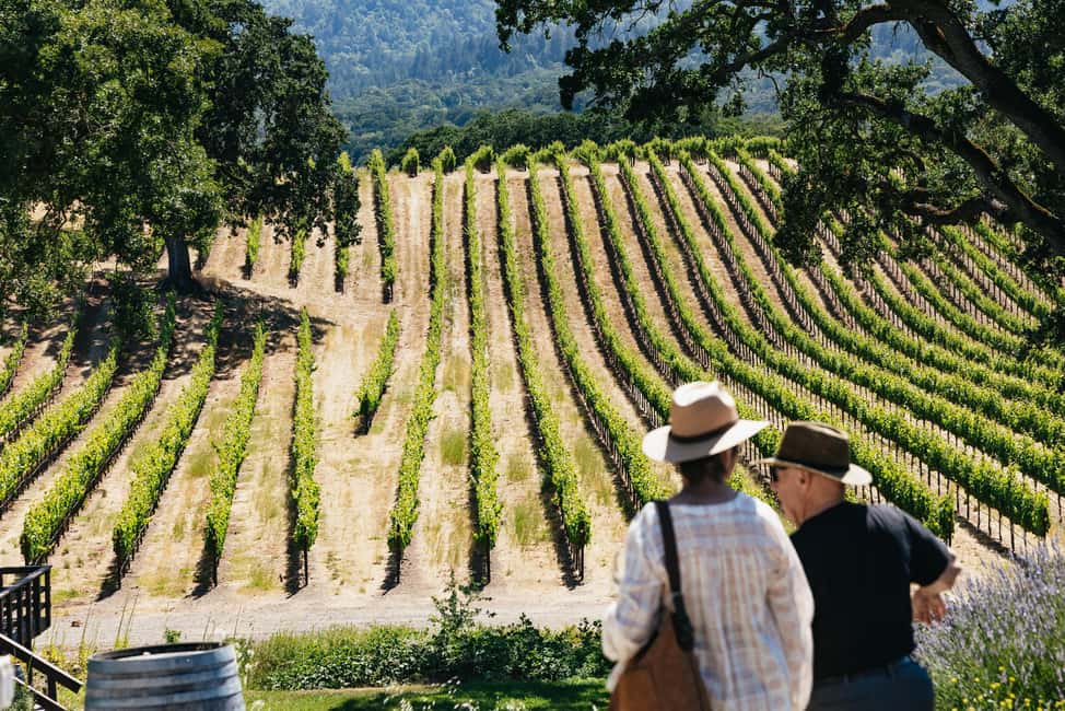 San Francisco: Napa and Sonoma Valley Wine Tour - Key points to know before you go