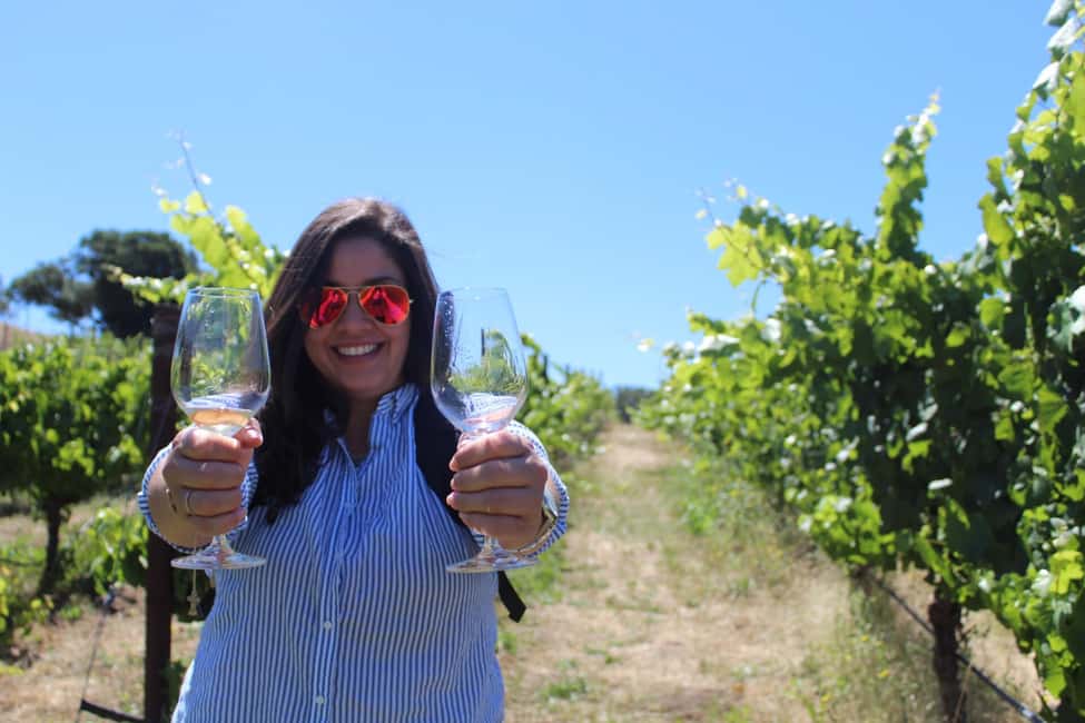 San Francisco: Napa and Sonoma Valley Wine Tour - Winery Visits in Napa and Sonoma: How the Tastings Work