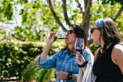 San Francisco: Napa and Sonoma Valley Wine Tour - Golden Gate Bridge Photo Stop: Quick Views With a Real Timing Beat