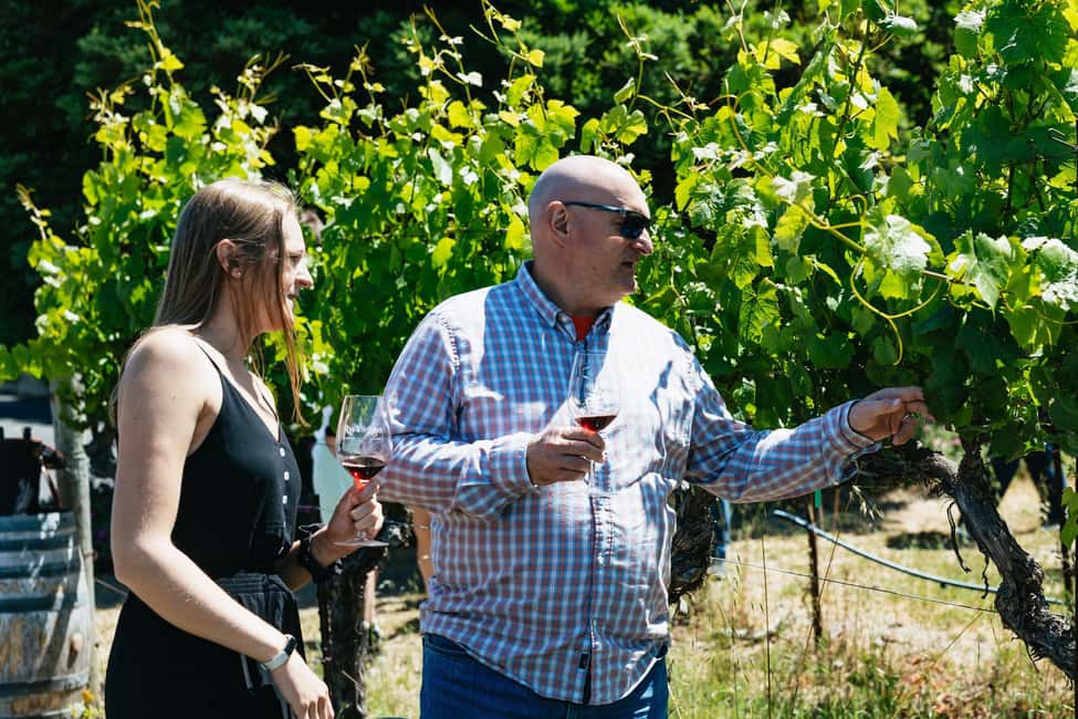 San Francisco: Napa and Sonoma Valley Wine Tour - Value and Price: Is $165 Worth It?