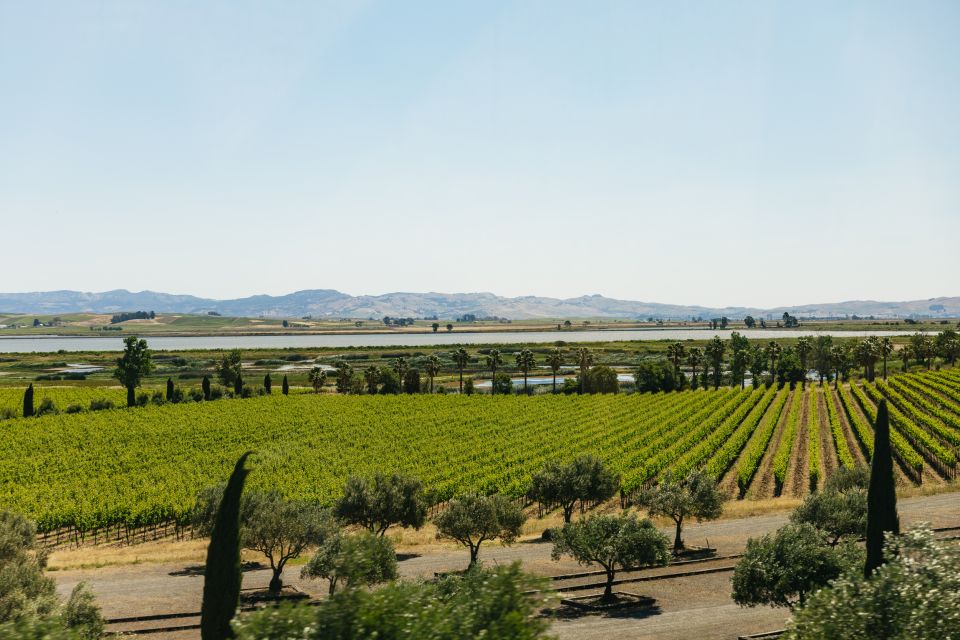 San Francisco: Napa and Sonoma Valley Wine Tour - Guide and Driver Style: What Makes the Experience Feel Smooth