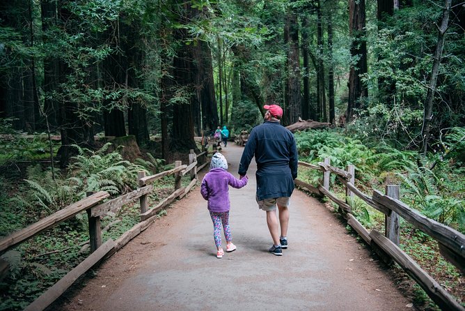 San Francisco Super Saver: Muir Woods & Wine Country w/ optional Gourmet Lunch - Getting out of San Francisco early (and why it matters)